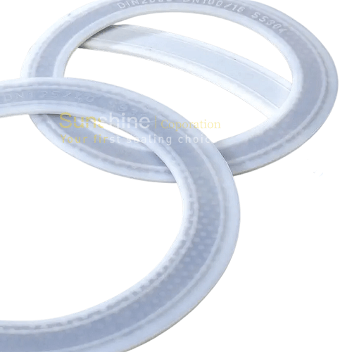 PTFE Gasket with Stainless Steel 304 Core